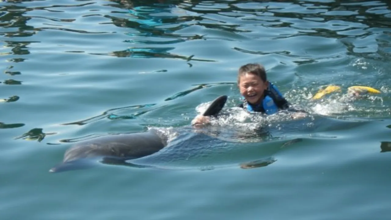 ドルフィンファームしまなみ