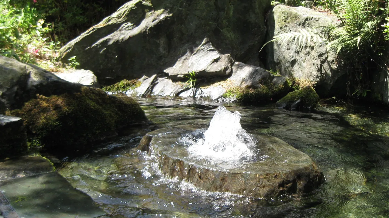 西条のうちぬき